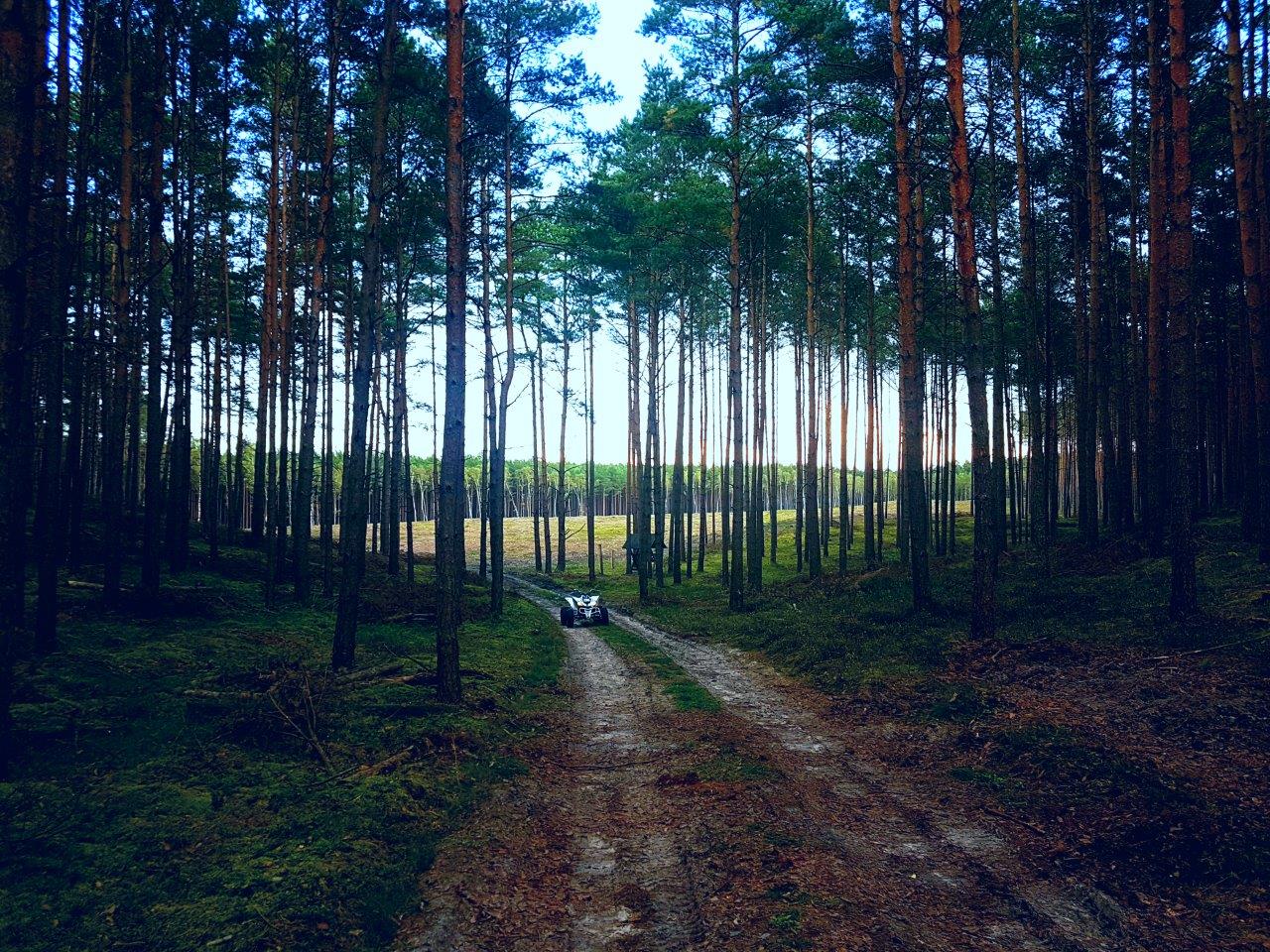 Przepiękna Puszcza Wkrzańska